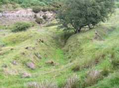 
Cwm Nant Mawr upper level, Brynmawr, August 2010